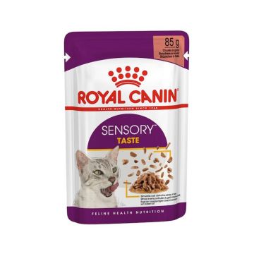 Royal Canin Sensory Taste Chunks in Gravy Wet Cat Food - 85 g Pack of 12