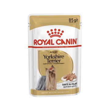 Royal Canin  Yorkshire Adult Dog Food Pouch - 85g - Pack of 12