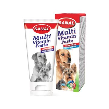 Sanal Multivitamin Paste for Dogs - 100 g