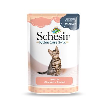 Schesir Kitten Care Chicken in Jelly Cat Food Pouch 3-12 Months - 85 g