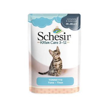 Schesir Tuna in Jelly Kitten Food Pouch - 85 g