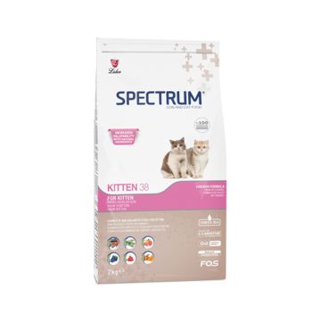 Spectrum Kitten38 Cat Dry Food