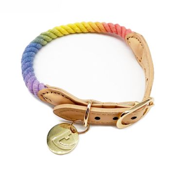 Tinklylife Rainbow Dog Collar