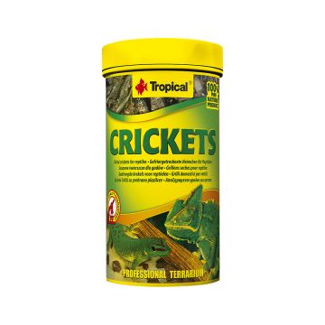 Tropical Crickets, 25g