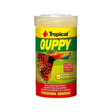 Tropical Guppy Tin - 20g