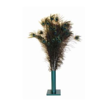 Vee Natural Peacock Feathers Cat Toy