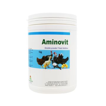 Vemedim Aminovit Powder, 1 Kg