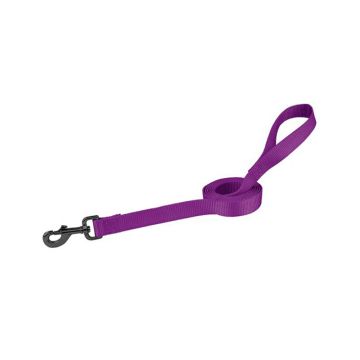 Weaver Pet Nylon Graphite Dog Leash - Purple - 3/4 inch x 4 ft