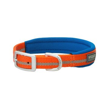 Weaver Pet Terrain Reflective Neoprene Lined Dog Collar - Orange