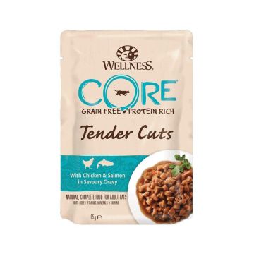 Wellness Core Tender Cuts Chicken and Salmon in Gravy Cat Food Pouch - 85 g