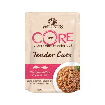 Wellness CORE Tender Cuts With Salmon & Tuna in Savoury Gravy for Cat, 85g