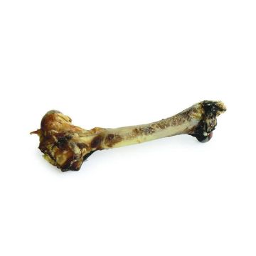 Zeal Whole Venison Shank Bone Dog Chew - 700 g