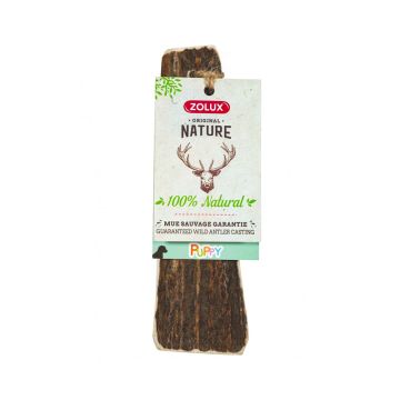 Zolux Natural Deer Antler for Puppies