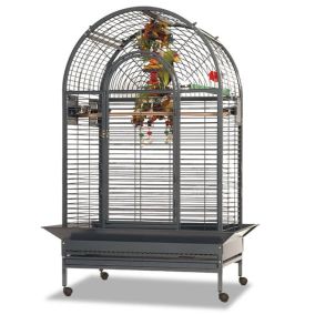 Montana Grenada - Antik Bird Cage - 90L x 61W x 165H cm