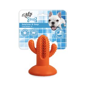 All For Paws Dental Cactus Rubber Dog Toy - Orange - Medium