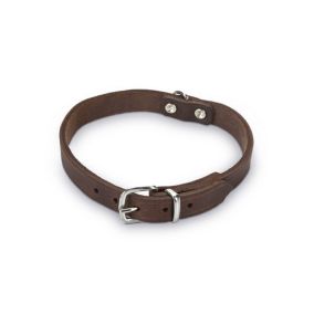 Beeztees Leather Dog Collar - Brown