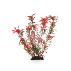 Beeztees Plastic Aqua Plant for Aquarium, 86051R