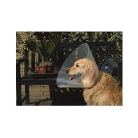 Beeztees Plastic Dog Cap 