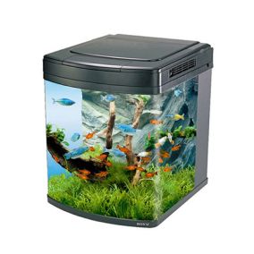 Boyu Happy Family Aquarium, 65L- 40.3L x 46.2W x 46.8H cm