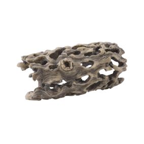 Exo Terra Cholla Cactus Skeleton - Small