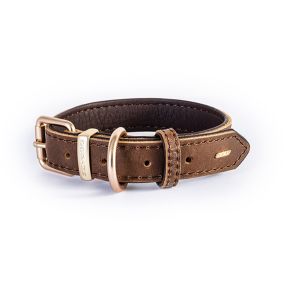 EzyDog Oxford Leather Classic Collar - Brown