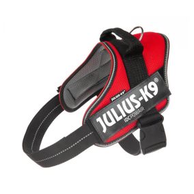 Julius-K9 IDC Powair Red Summer Harness for Dogs