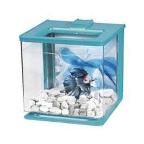 Marina Betta Kit Blue - 2.5 Liters