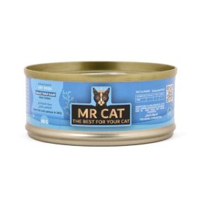 Mr. Cat Ocean Fish with Salmon In Jelly Wet Cat Food - 60 g