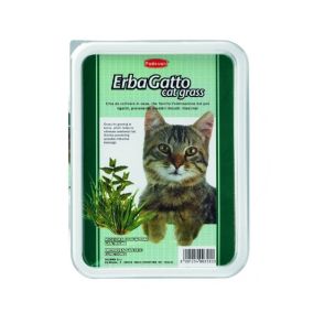 Padovan Erbagatta Cat Grass