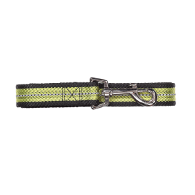 Pawise Reflective Soft Dog Leash - Green