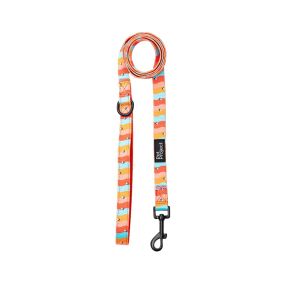 Pet Project Retro Stars Dog Leash - Medium