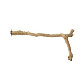 Prevue Y-Shape Coffea Wood Perch, 24"