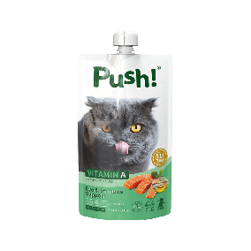 Push Eye and Immune Support Salmon with Vitamin A Cat Food Pouch - 110 g