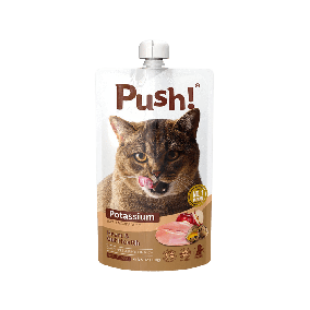 Push Heart and Gut Health Chicken with Potassium Cat Food Pouch - 110 g