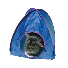 Rosewood Pop-Up Tent