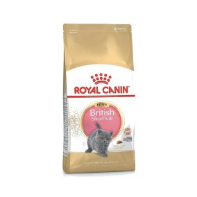 Royal Canin British Shorthair Kitten Food - 2 Kg