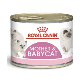 Royal Canin FHN Mother and Babycat Wet Cat Food - 195 g