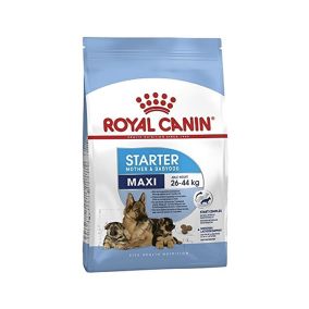 Royal Canin Maxi Starter Dry Dog Food