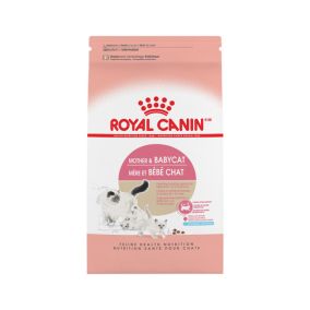 Royal Canin Pro Mother and Babycat Dry Cat Food - 10 kg