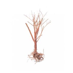 SV Aquarium Deco Photinia Wood - Medium - 25-30 cm