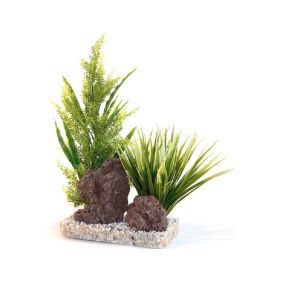 Sydeco Aloe Vera Giant with Rocks, 42 cm