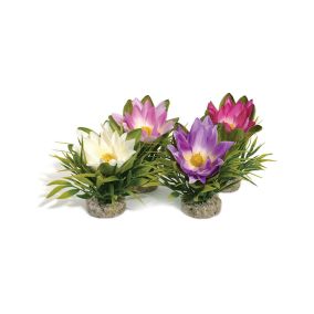 Sydeco Aquatic Lotus Flower