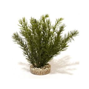 Sydeco Club Moss, Large