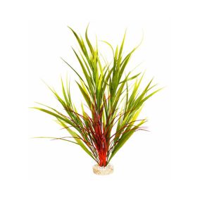 Sydeco Giant Wild Grass Plant, 45 cm