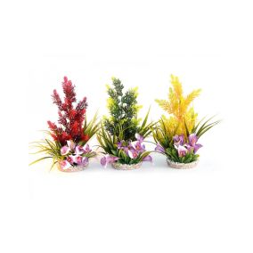 Sydeco Paradise Aquaplant