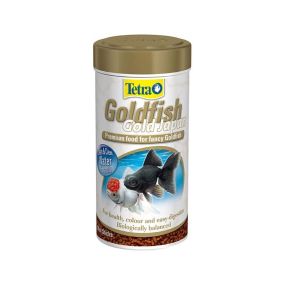 Tetra Goldfish Gold Japan