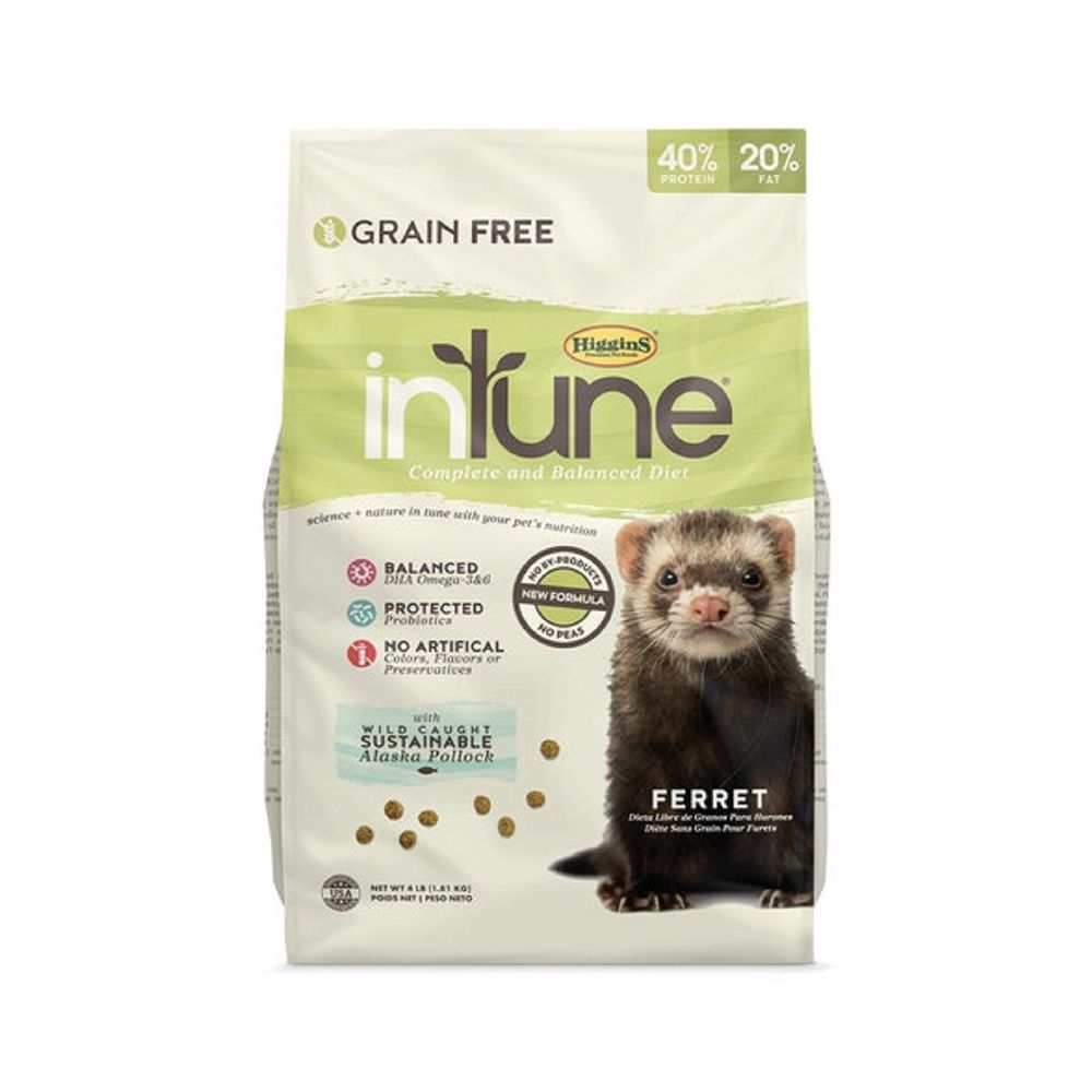 Intune discount ferret food