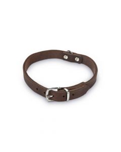 Beeztees Leather Dog Collar - Brown