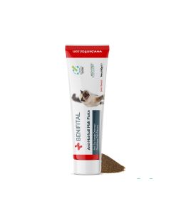 Benifital Anti Hairball Malt Paste for Cats - 100 g