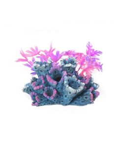 Blue Ribbon Fantasy Reef with Plants